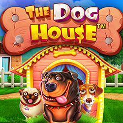 vs20doghouse game